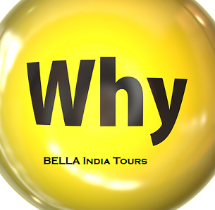 Por-que, Bella-India-Tours-34