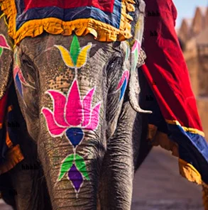 Agencia-de-viajes-en-India-500