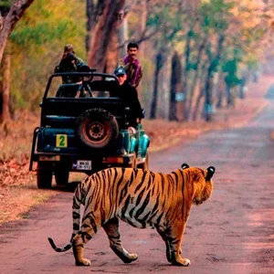 Agencia-de-viajes-en-India-503