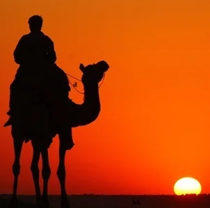 Agencia-de-viajes-en-India-509