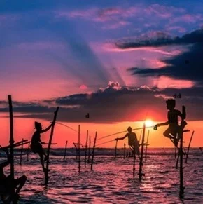 Agencia-de-viajes-en-India-531