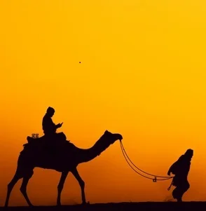 Agencia-de-viajes-en-India-4920