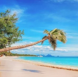 Agencia-de-viajes-en-India-82013